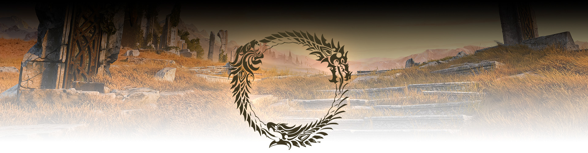 A metal ouroboros symbol displayed superimposed on a grassy field.