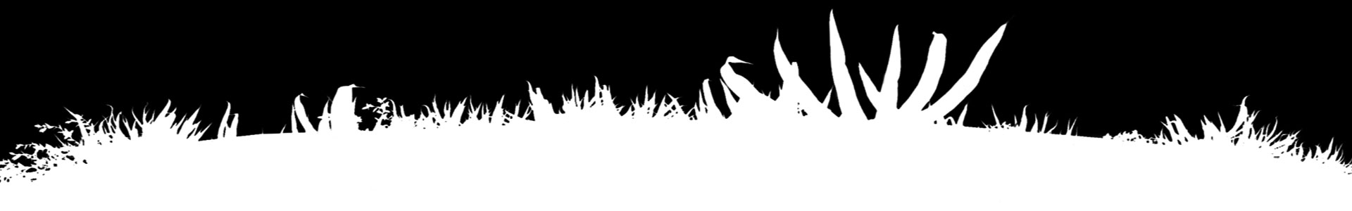 Design motif of jungle foliage.